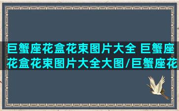 巨蟹座花盒花束图片大全 巨蟹座花盒花束图片大全大图/巨蟹座花盒花束图片大全 巨蟹座花盒花束图片大全大图-我的网站